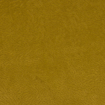 Newman Gold by Warwick Fabrics