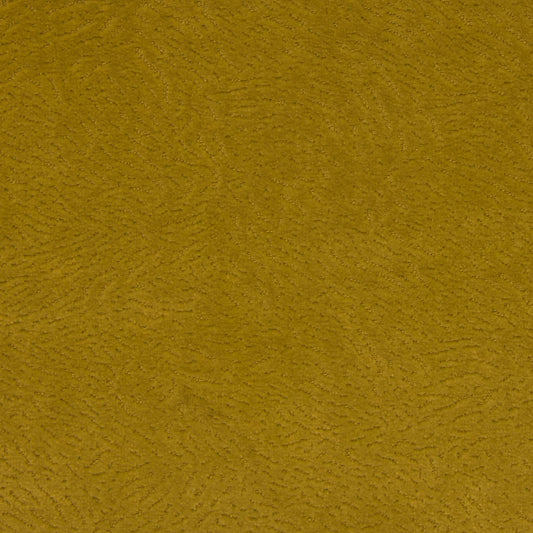 Newman Gold by Warwick Fabrics