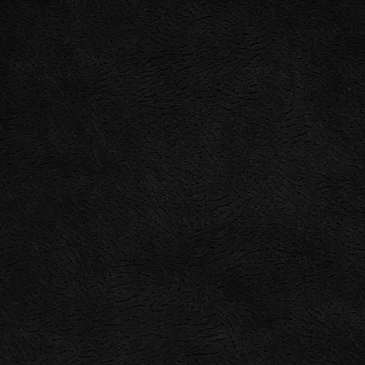 Newman Onyx by Warwick Fabrics