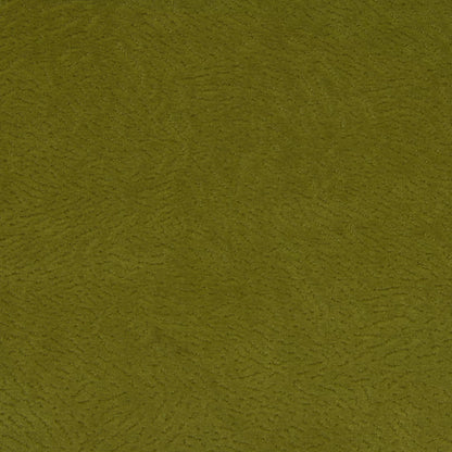 Newman Pistachio by Warwick Fabrics