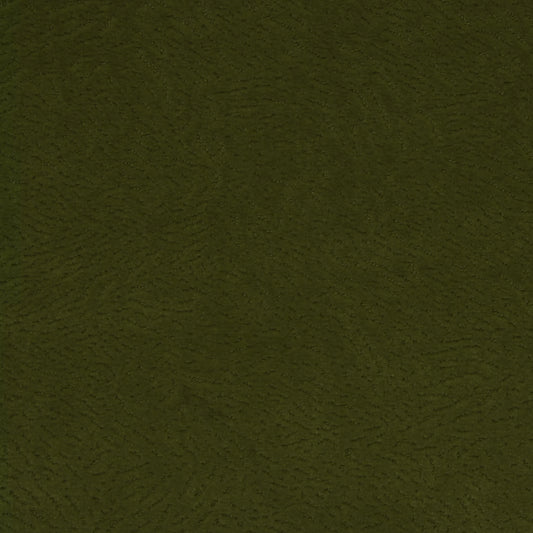 Newman Seaweed by Warwick Fabrics