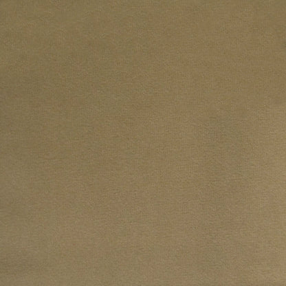 Novara Mocha by Warwick Fabrics