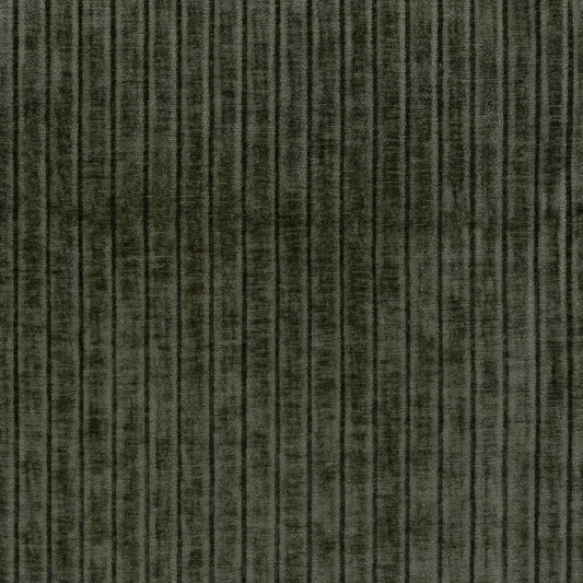 Norden Olive by Warwick Fabrics