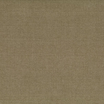 Optima Bark by Warwick Fabrics