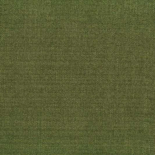Optima Cactus by Warwick Fabrics