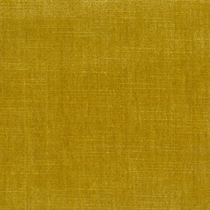 Orleans Honey by Warwick Fabrics