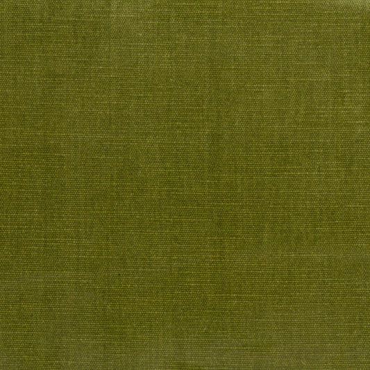 Orleans Moss by Warwick Fabrics