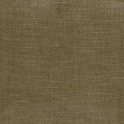 Orleans Walnut by Warwick Fabrics
