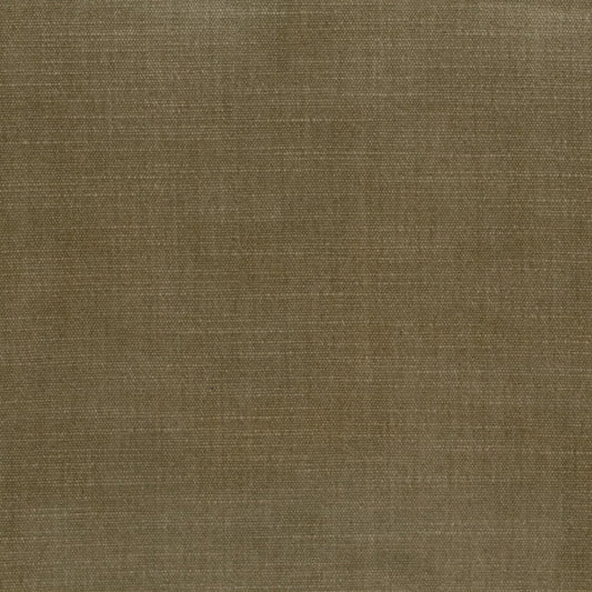 Orleans Walnut by Warwick Fabrics