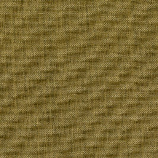 Overton Lemongrass by Warwick Fabrics