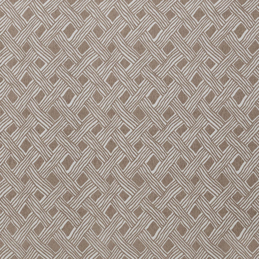 Palacio Taupe by Warwick Fabrics