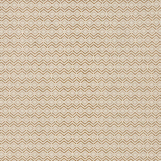 Pedro Mustard by Warwick Fabrics