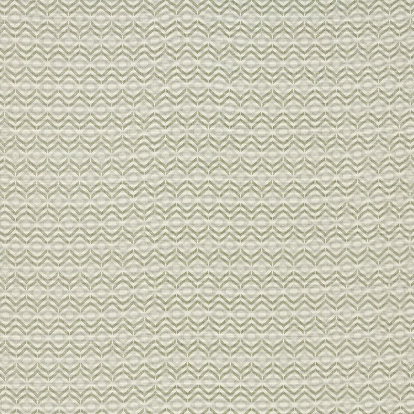 Pedro Olive by Warwick Fabrics