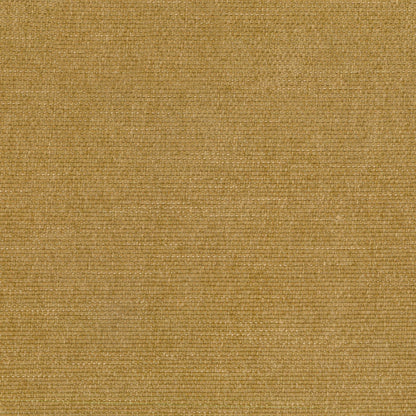 Pushka Caramel by Warwick Fabrics
