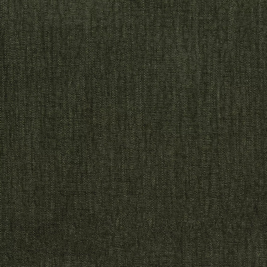 Raymond Forest by Warwick Fabrics