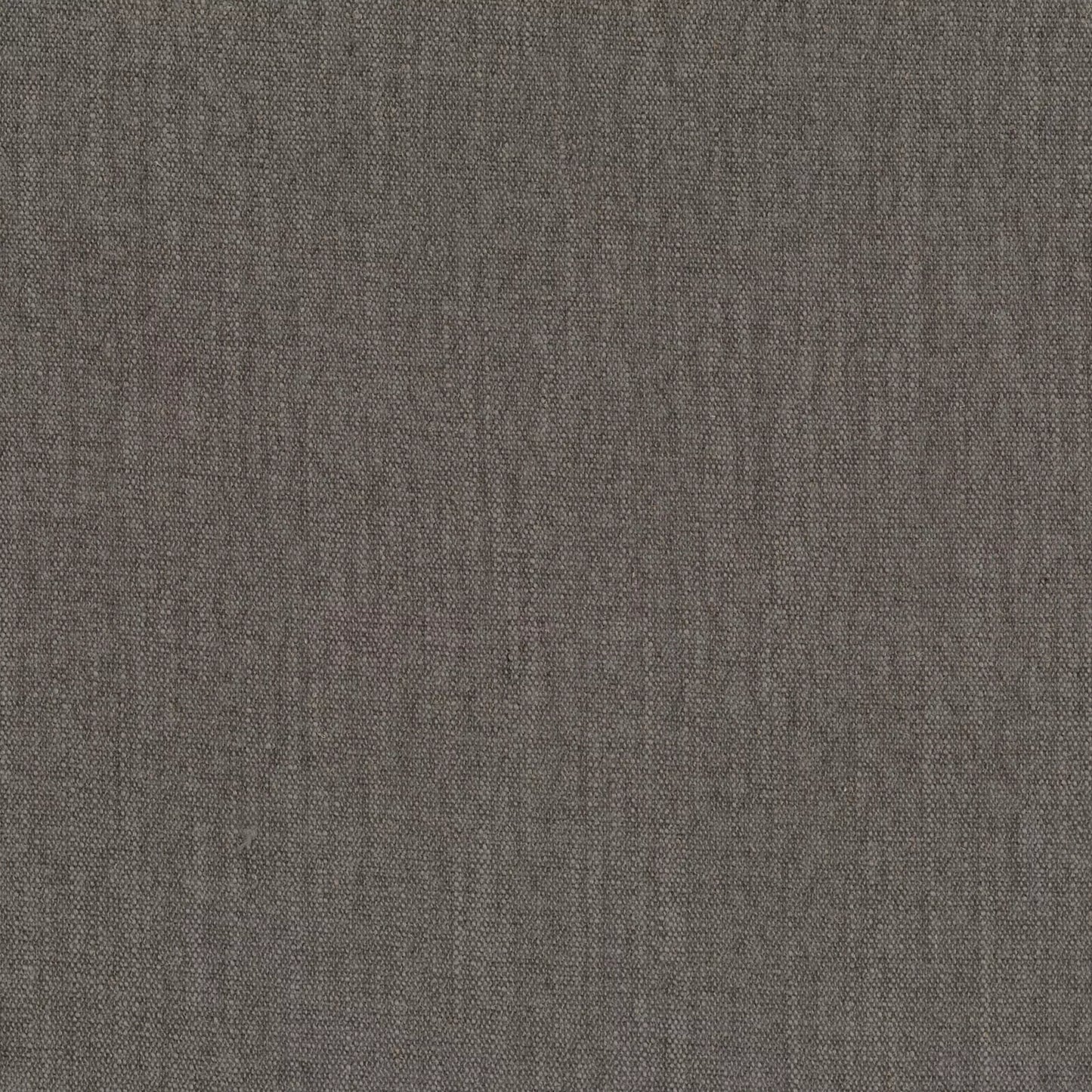 Raymond Gull by Warwick Fabrics