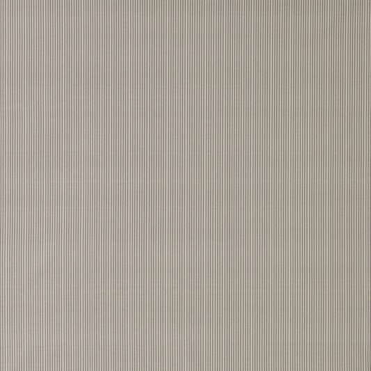 Raya Ash by Warwick Fabrics