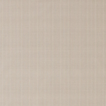 Raya Stone by Warwick Fabrics