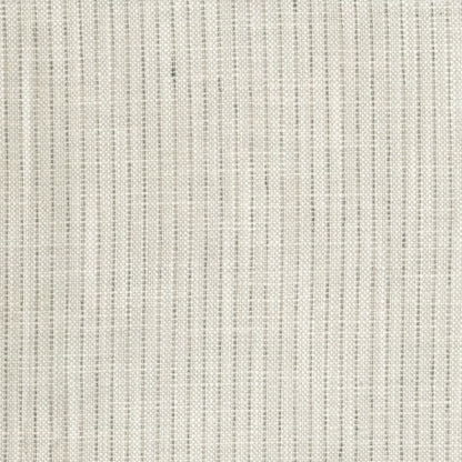 Rathlin Dove by Warwick Fabrics