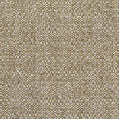 Salina by Warwick Fabrics