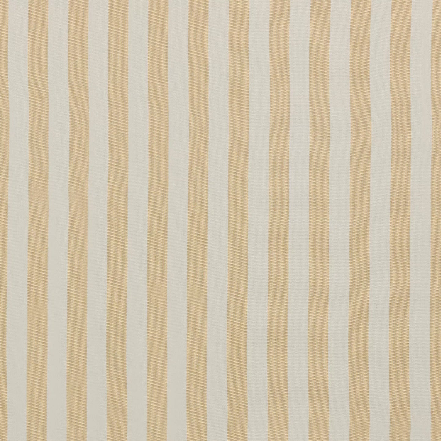 Serengeti Beach by Warwick Fabrics