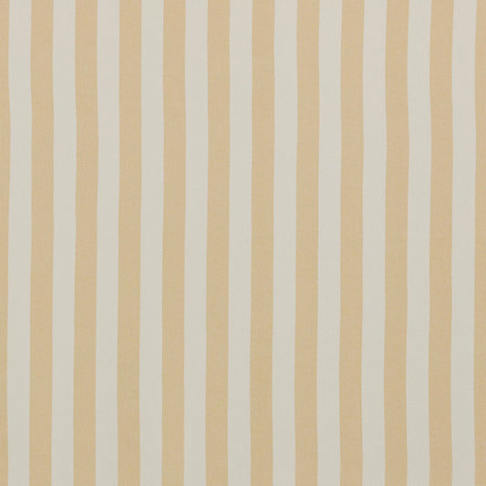 Serengeti Beach by Warwick Fabrics