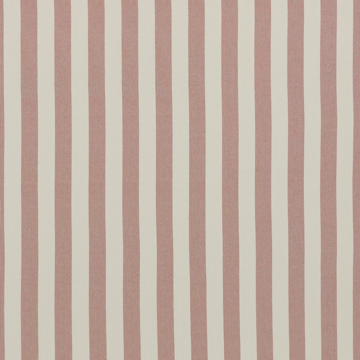 Serengeti Coral by Warwick Fabrics