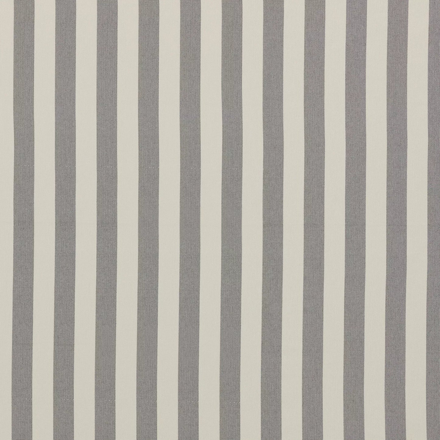 Serengeti Gull by Warwick Fabrics