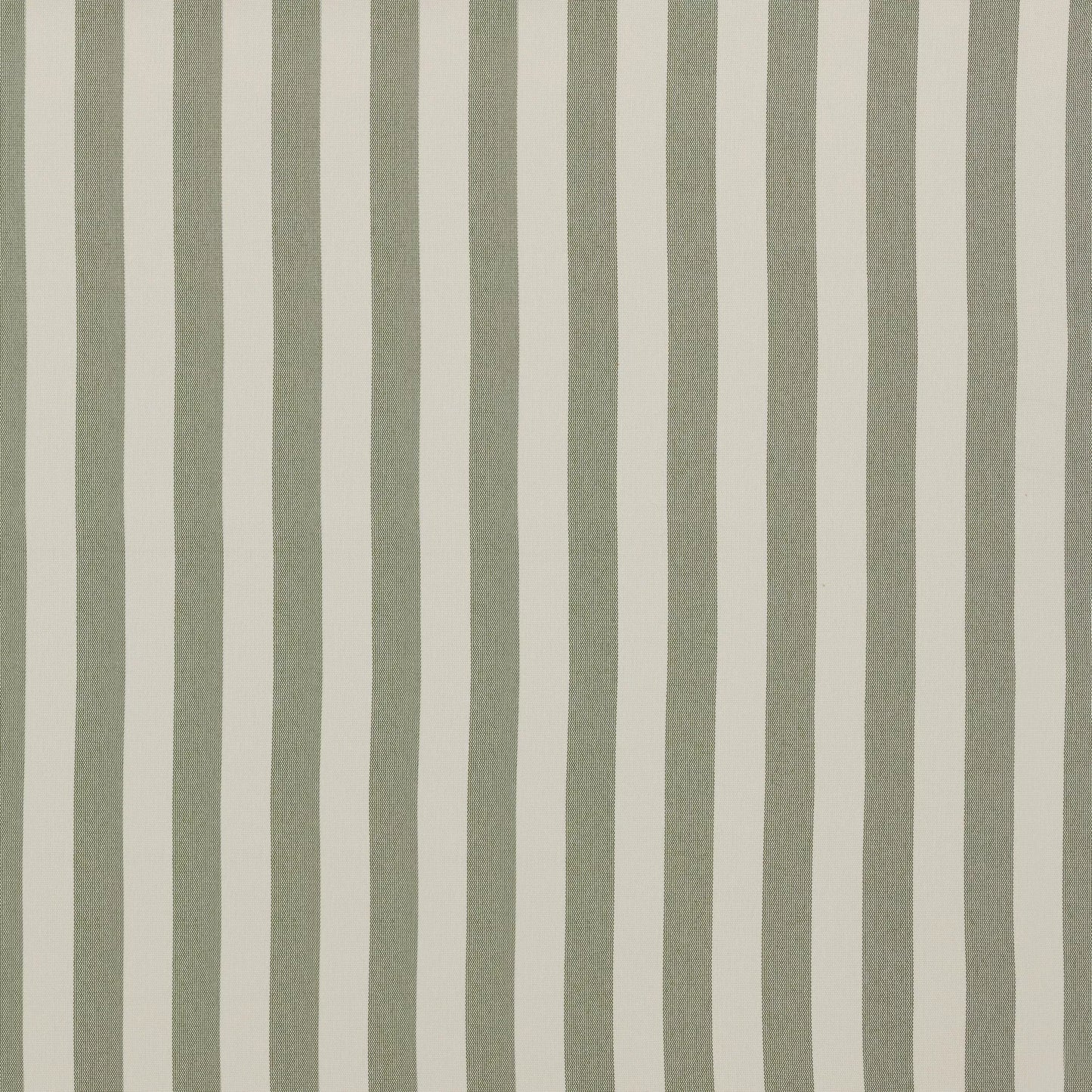 Serengeti Moss by Warwick Fabrics