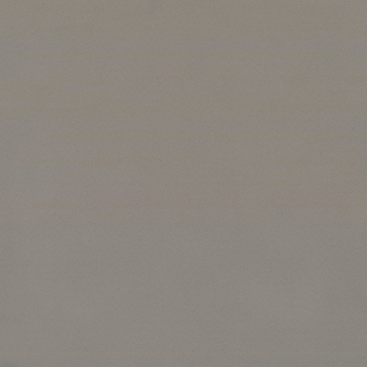 Solaris Plantinum by Warwick Fabrics