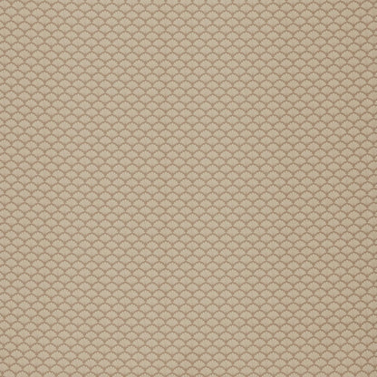 Tarantino Mocha By Warwick Fabrics