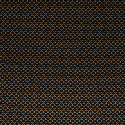 Tarantino Onyx By Warwick Fabrics