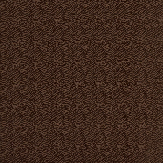 Temba Cocoa by Warwick Fabrics
