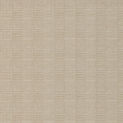 Terrain Coconut by Warwick Fabrics