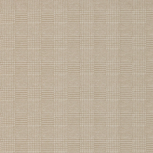 Terrain Coconut by Warwick Fabrics