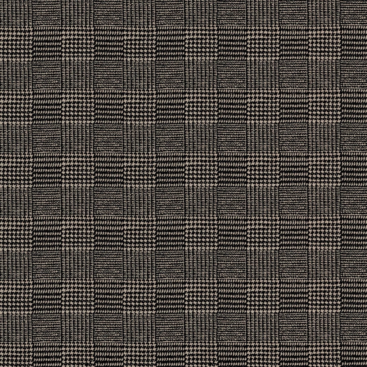 Terrain Zebra by Warwick Fabrics