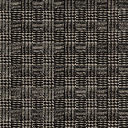 Terrain Zebra by Warwick Fabrics