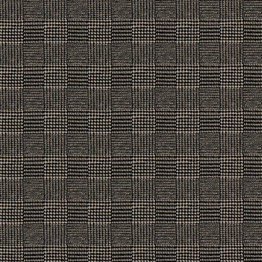 Terrain Zebra by Warwick Fabrics