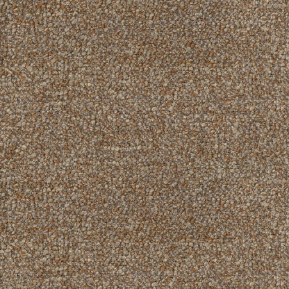 Tundra Clay by Warwick Fabrics