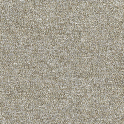 Tundra Dune by Warwick Fabrics