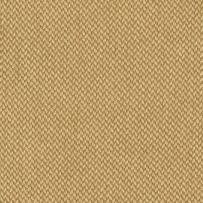 Vander by Warwick Fabrics