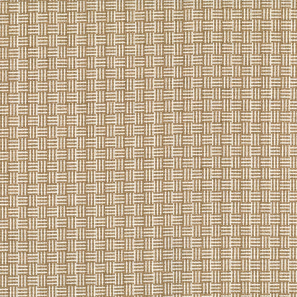 Williamsburg Honey by Warwick Fabrics