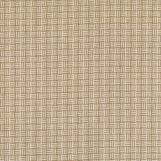 Williamsburg Honey by Warwick Fabrics