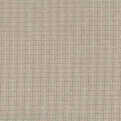 Williamsburg Biscuit by Warwick Fabrics