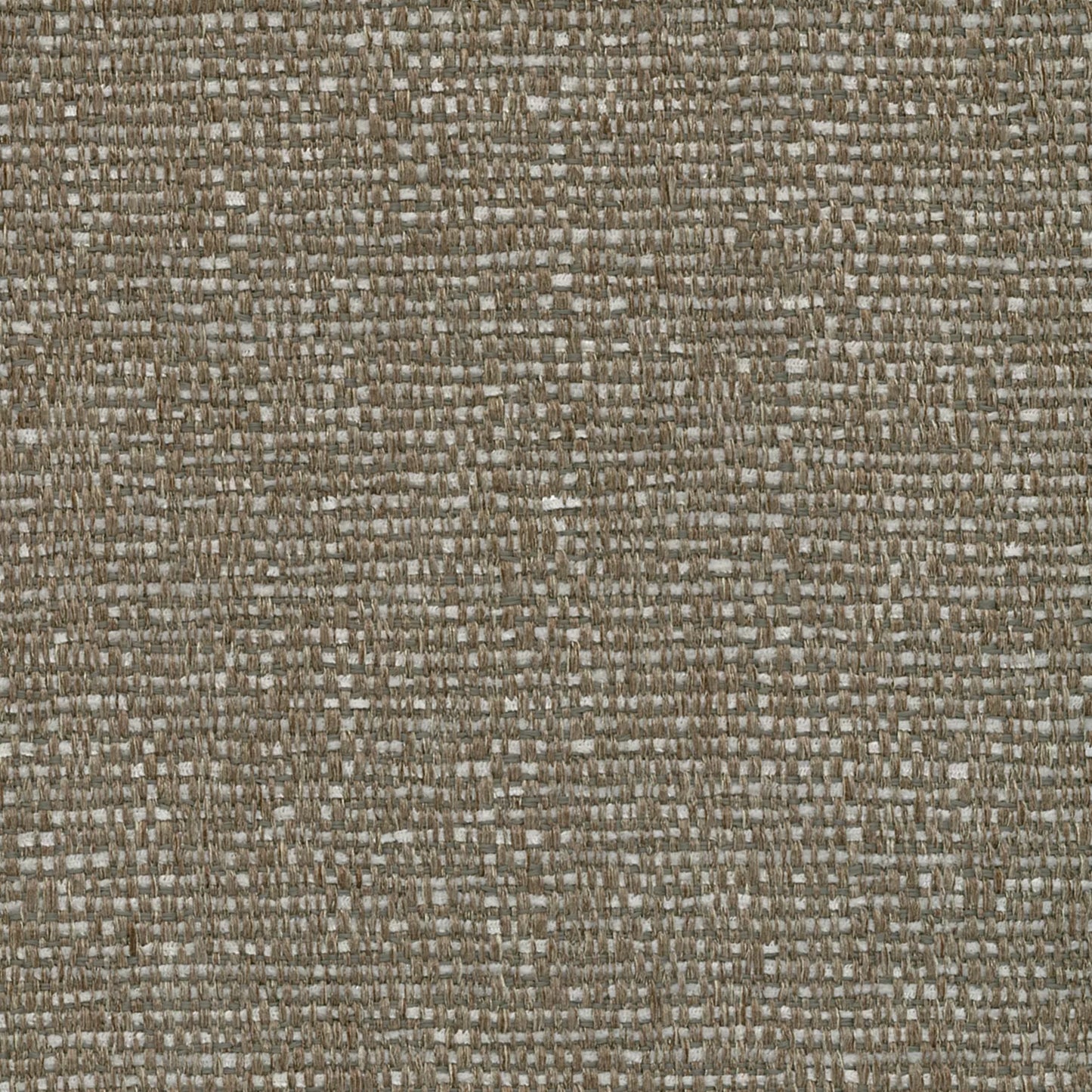 Carrick Fossil by Warwick Fabrics