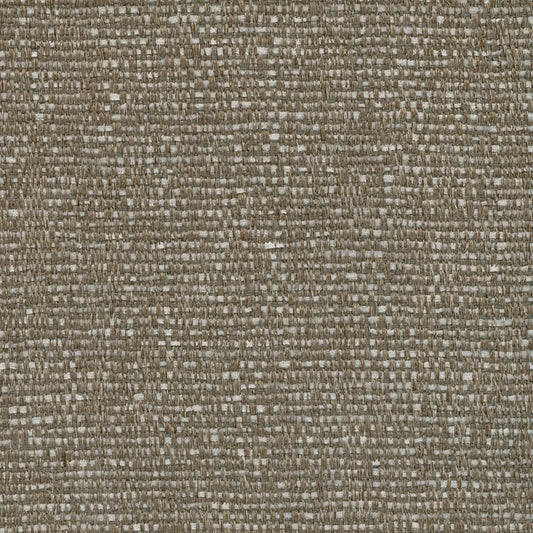 Carrick Fossil by Warwick Fabrics