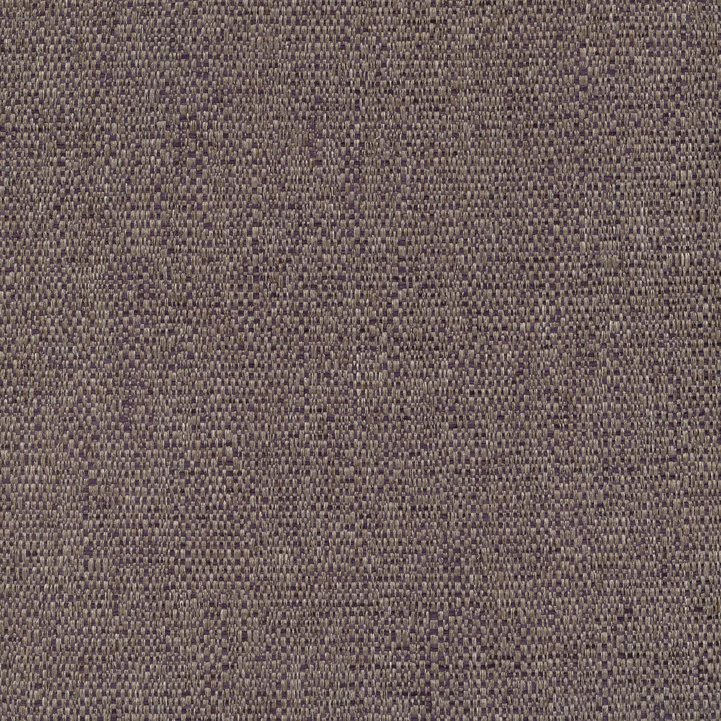 Carrick Grape by Warwick Fabrics