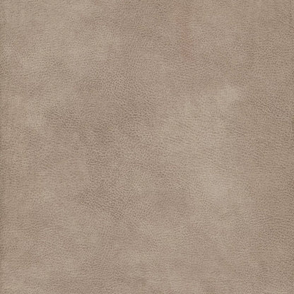 Eastwood by Warwick Fabrics
