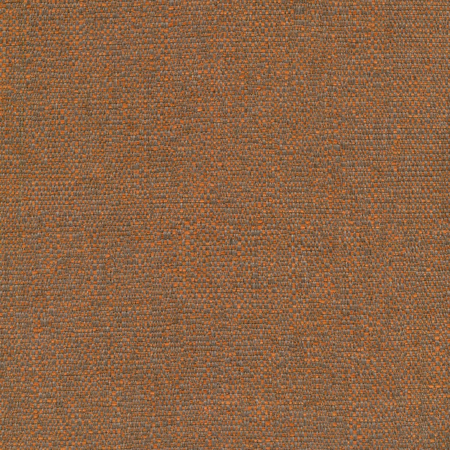 Carrick Pumpkin by Warwick Fabrics