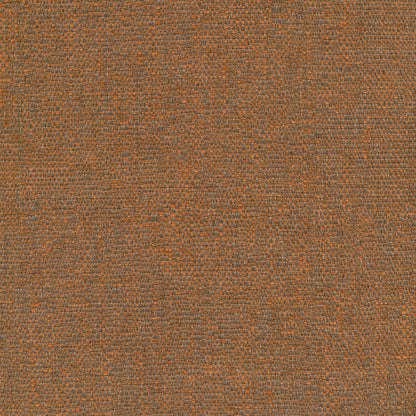 Carrick Pumpkin by Warwick Fabrics